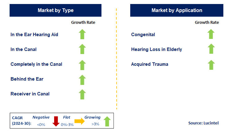 Hearing Aid Retail by Segment